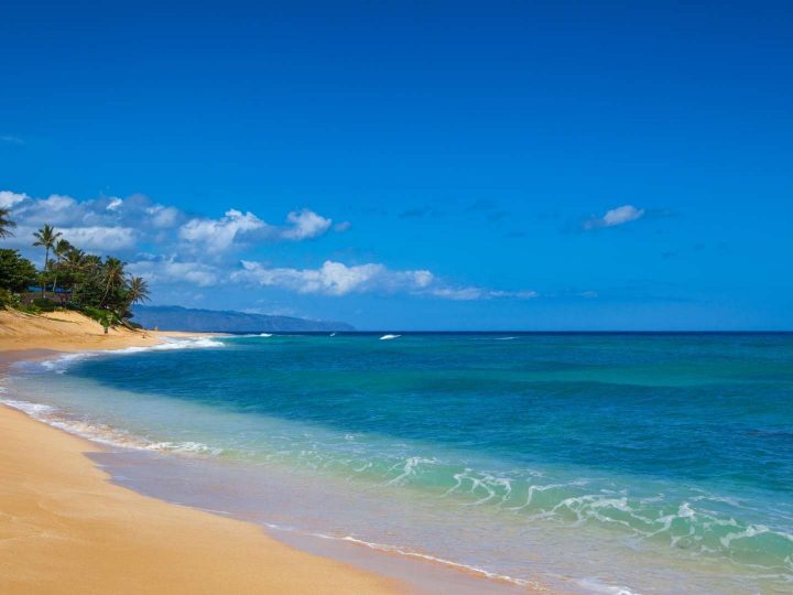 14 Fabulous Beaches in Oahu for Families