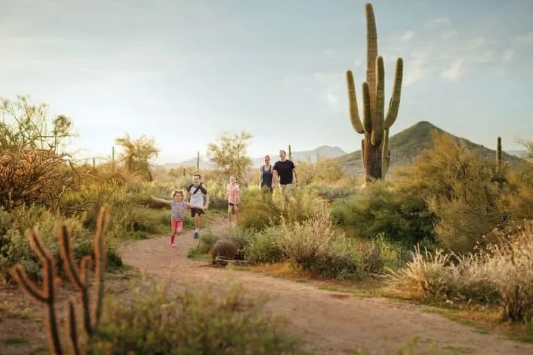 Hiking in the McDowell Sonoran Preserve during a winter vacationin Phoenix