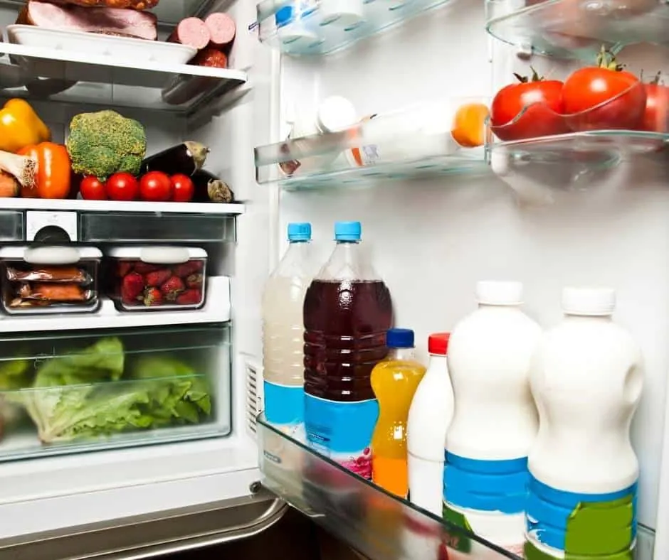 Throw away perishable food before going on vacation