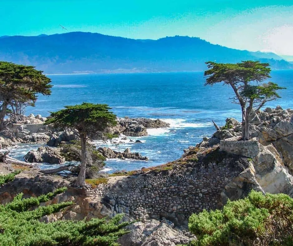 Things to do in Monterey with Kids Point Lobos