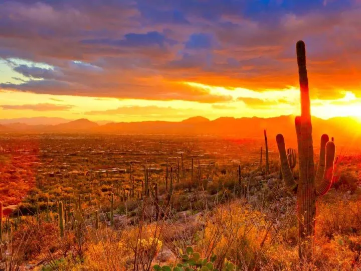 Things to do in Tucson with Kids