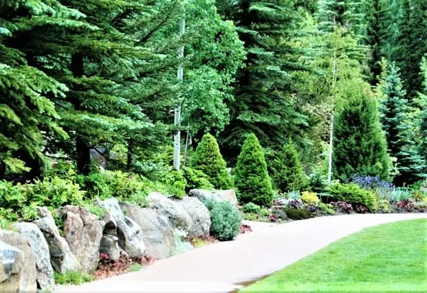 Betty Ford Alpine Garden