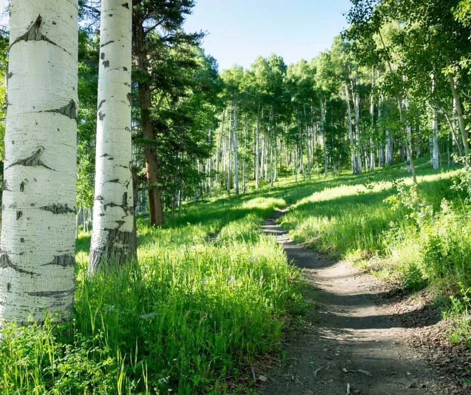 Hiking in Vail