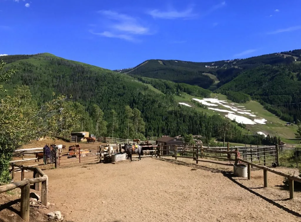 Horseback Riding in Vail