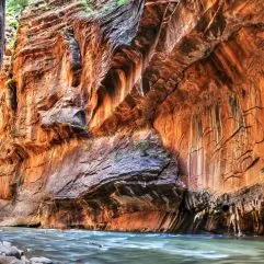 Over 15 Epic Things to do in Zion with Kids