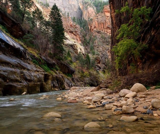 Over 15 Epic Things to do in Zion with Kids