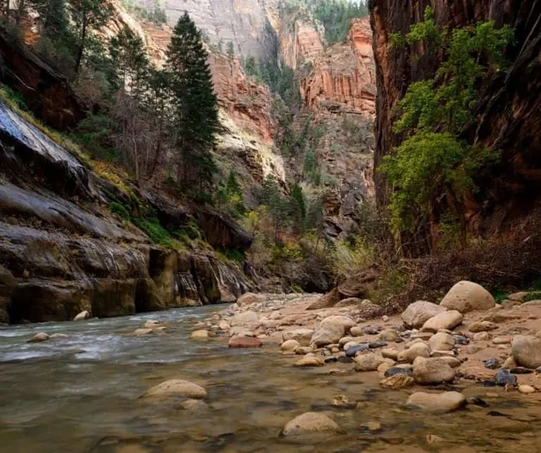 Riverside Walk in Zion National Park