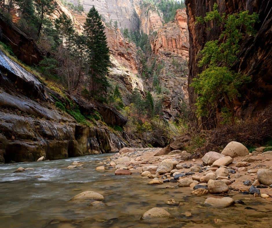 Zion National Park is one of the best national parks for kids