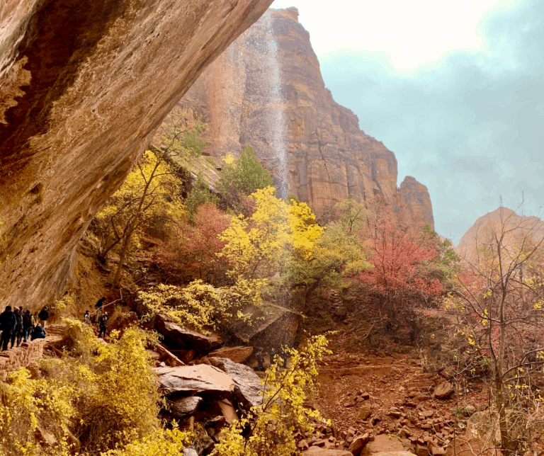 One of the best things to do in Zion with kids is hike to the Emerald Pools