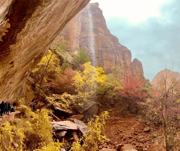 Lower Emerald Pool Zion