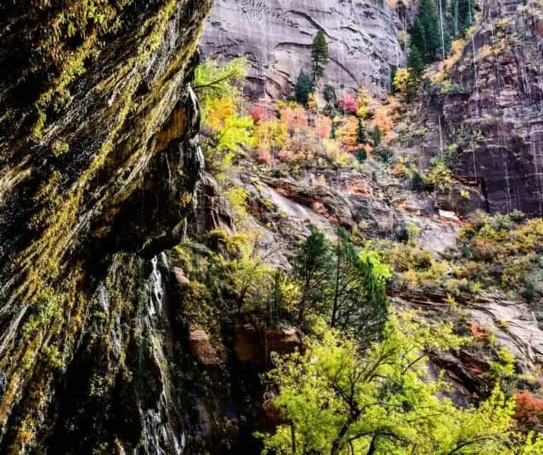 Weeping Rock Zion