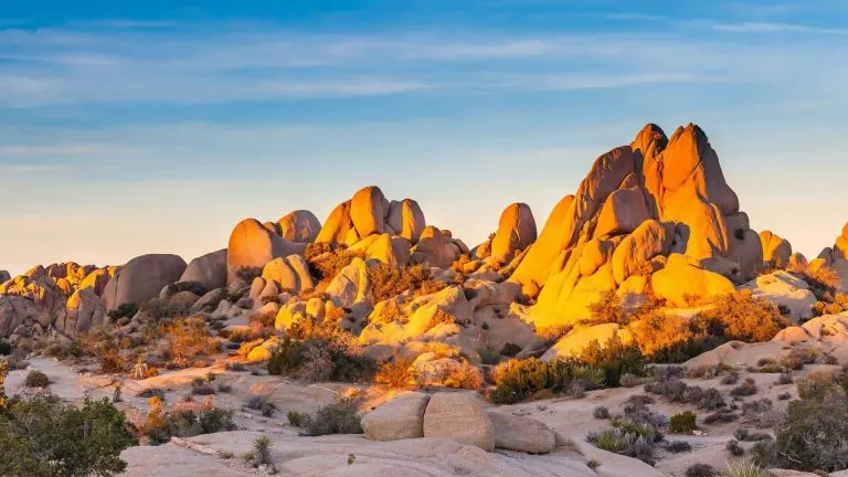 Visit Joshua Tree National Park with kids