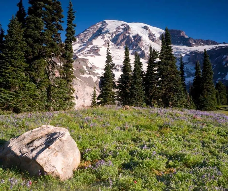 Mt Rainier is one of our favorite weekend getaways from Seattle