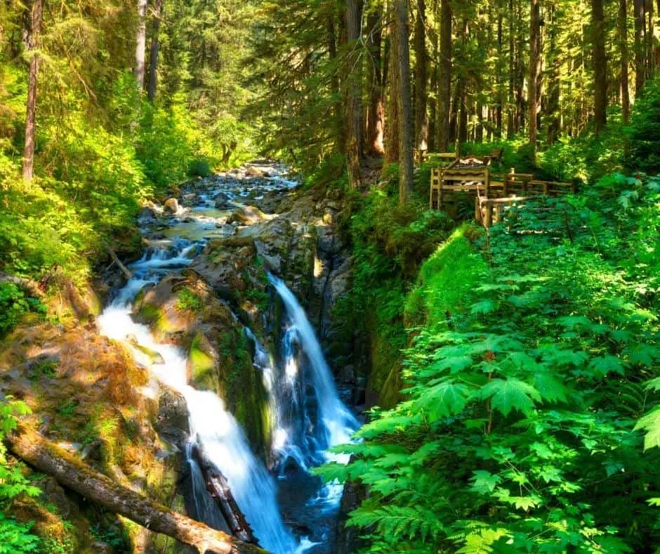 Sol Duc Falls in Olympic National Park