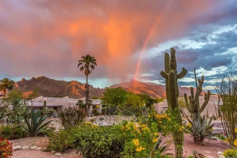 Westward Look Resort is one of the best Tucson resorts for families