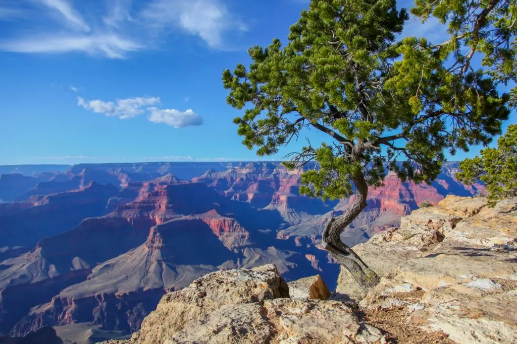 The Grand Canyon is one of the best weekend getaways from Phoenix