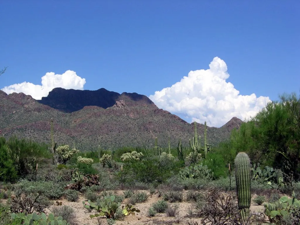 tucson mountains by flickr ken bosma