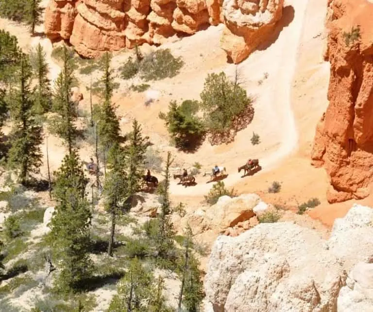 Mule Rides in Bryce Canyon National Park