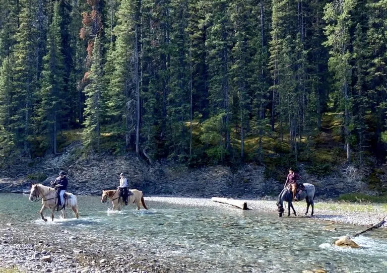  Banff Trail rides