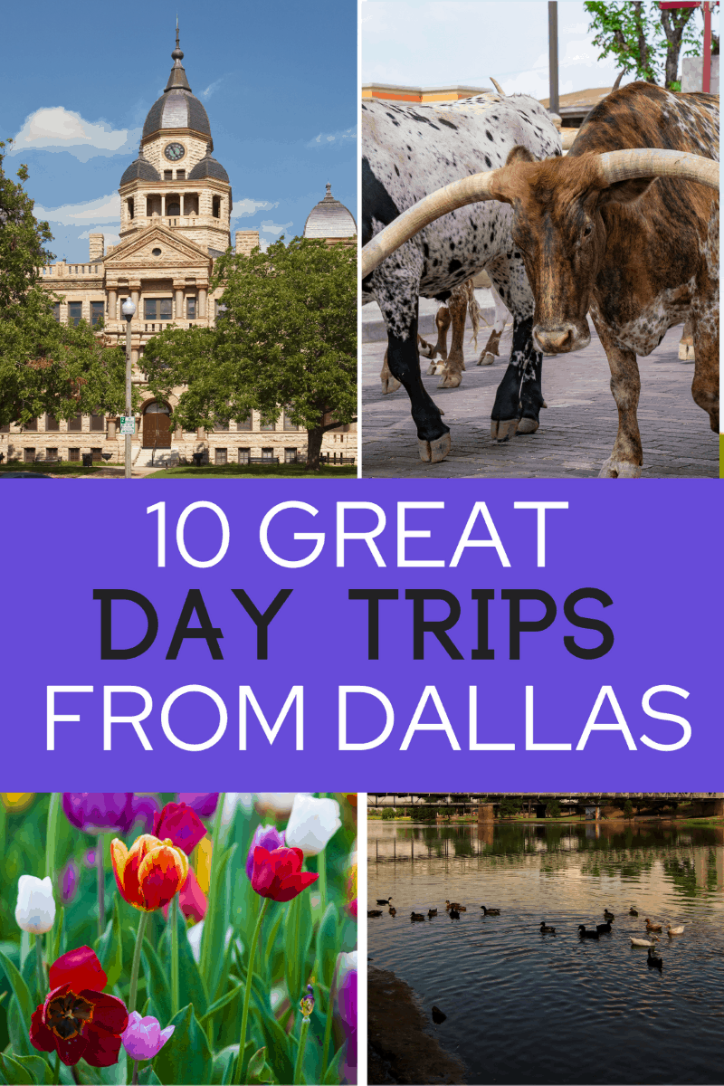 a day trip from dallas