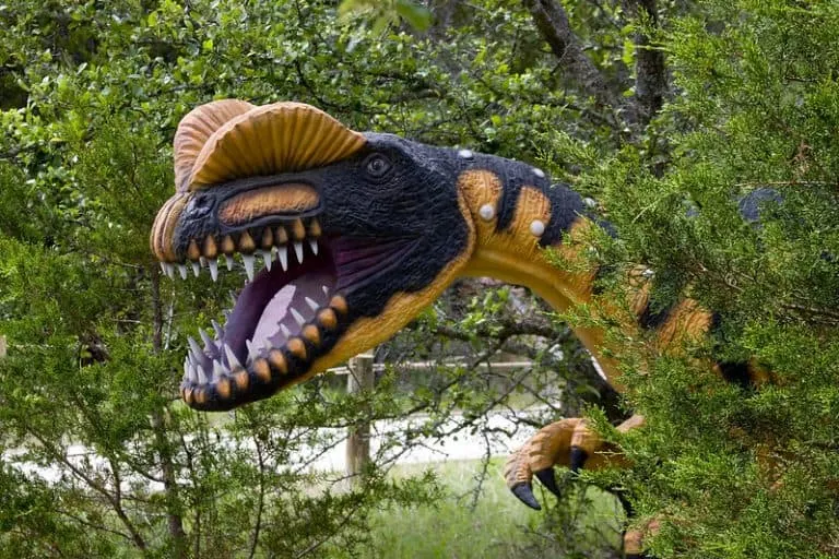 Dinosaur Valley State Park in Glen Rose is one of several great day trips from Dallas for families.