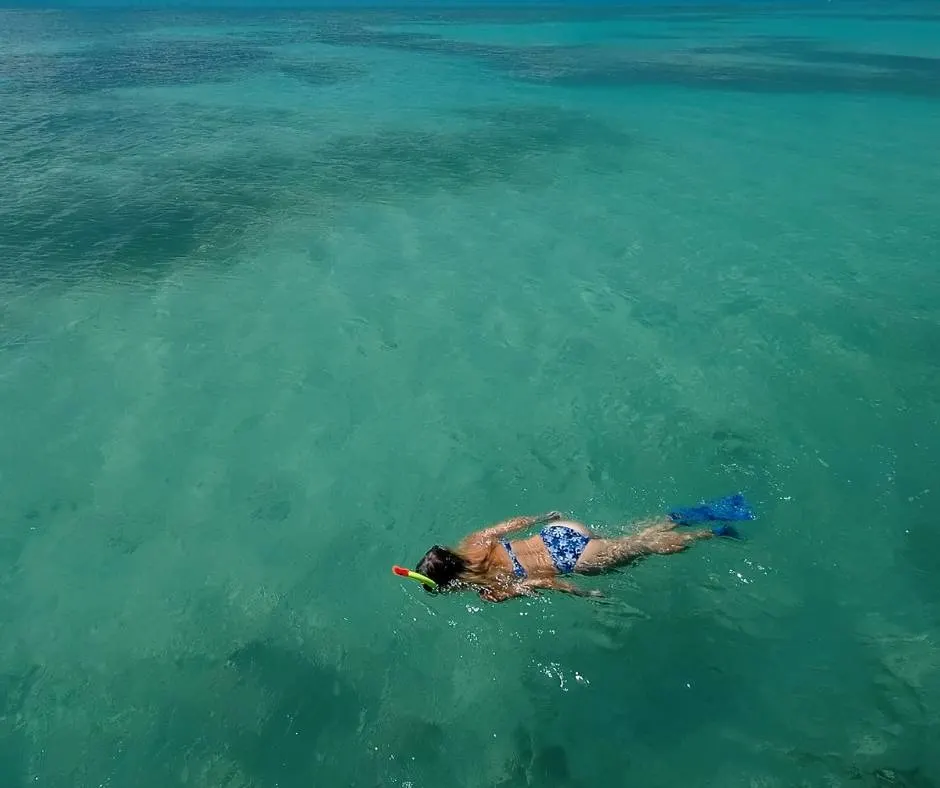 Go snorkeling on your Dry Tortugas Day Trips from Key West