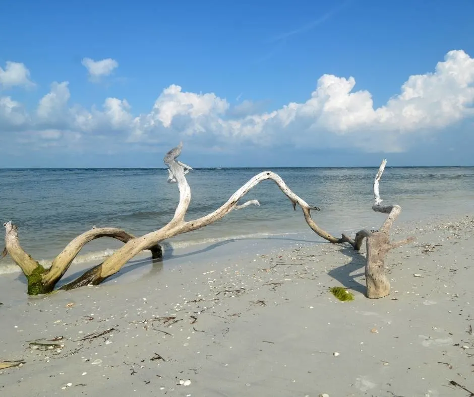 Cayo Costa State Park in Florida