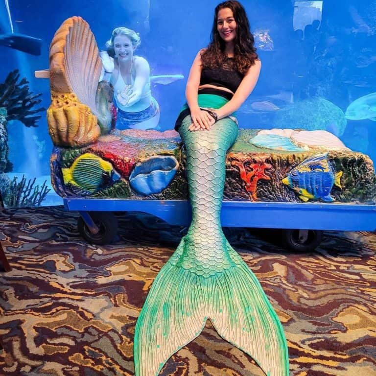 Mermaids at the Downtown Aquarium