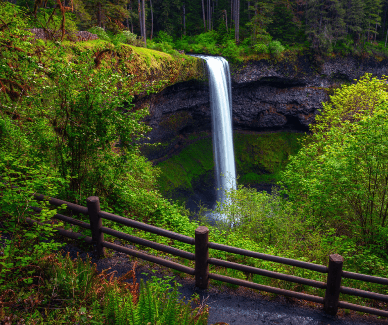 Silver Falls State Park in Oregon