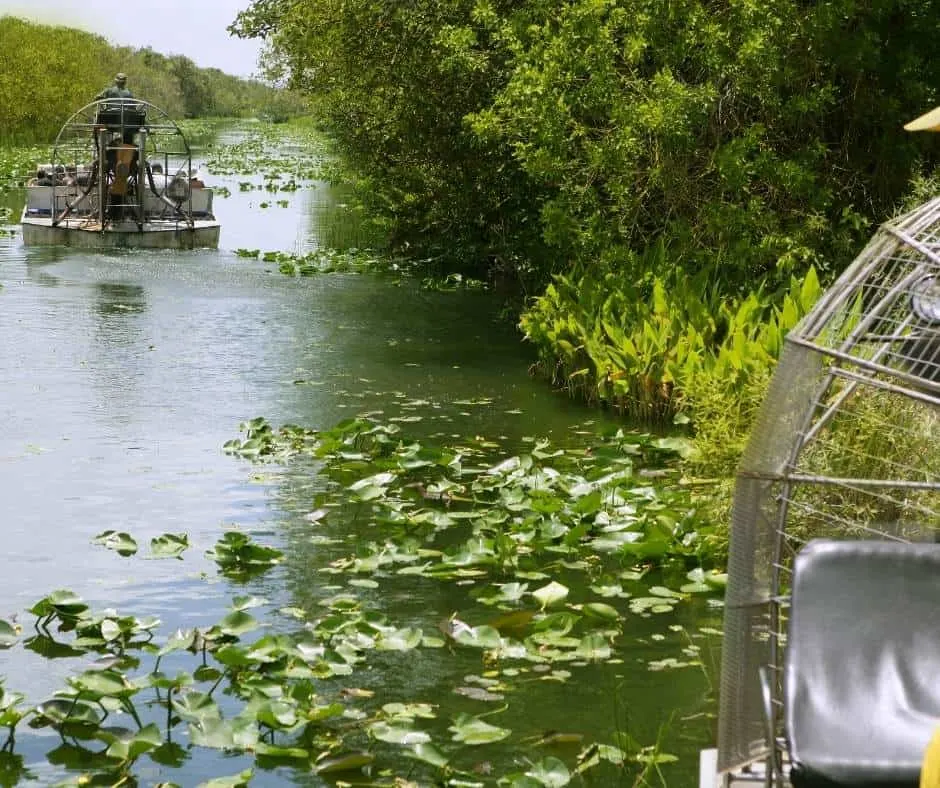 Headed to Miami with kids? Try and airboat ride in the Everglades