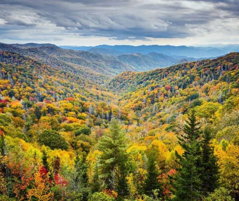One of the best national parks for kids is the Great Smoky Mountain National Park