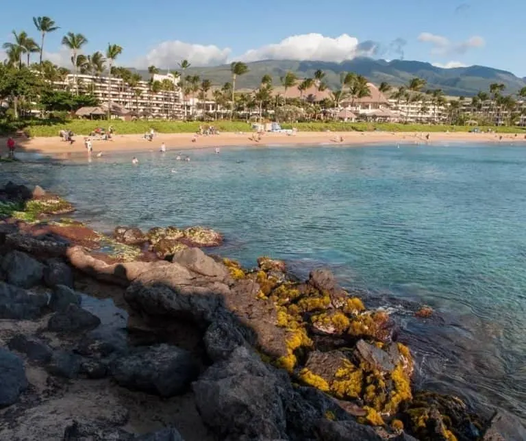 Black Rock Snorkeling