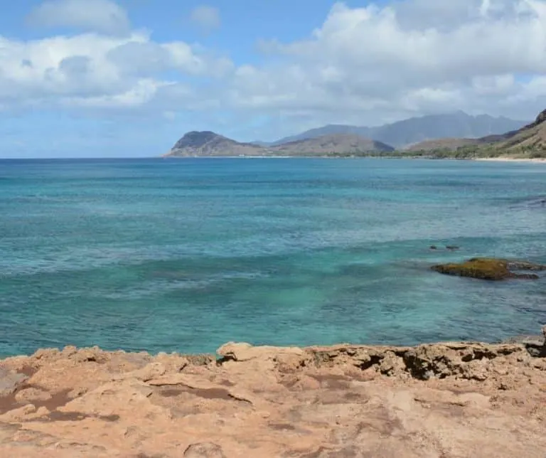 Electric Beach Snorkeling in Oahu