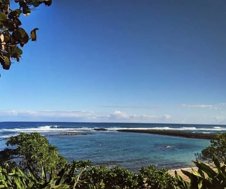 Kuilima Cove in Oahu