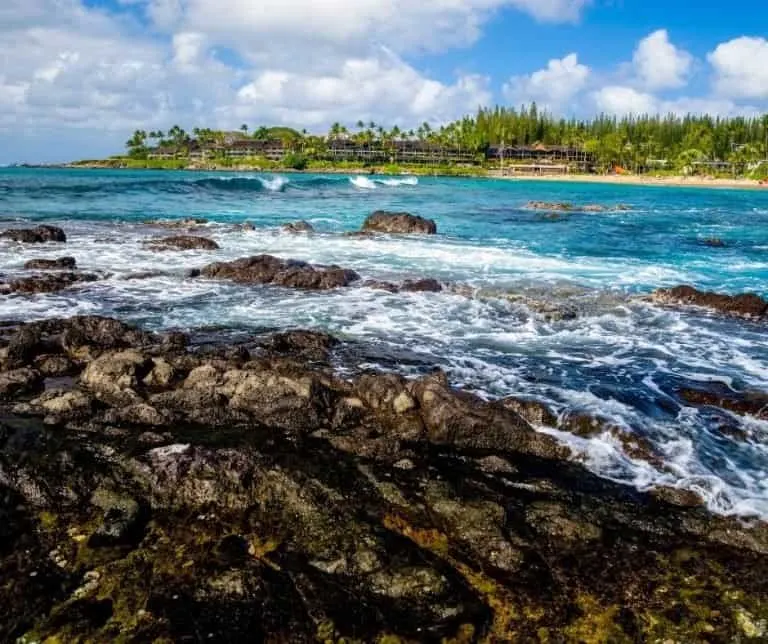 Great snorkeling can be found in Napili Bay