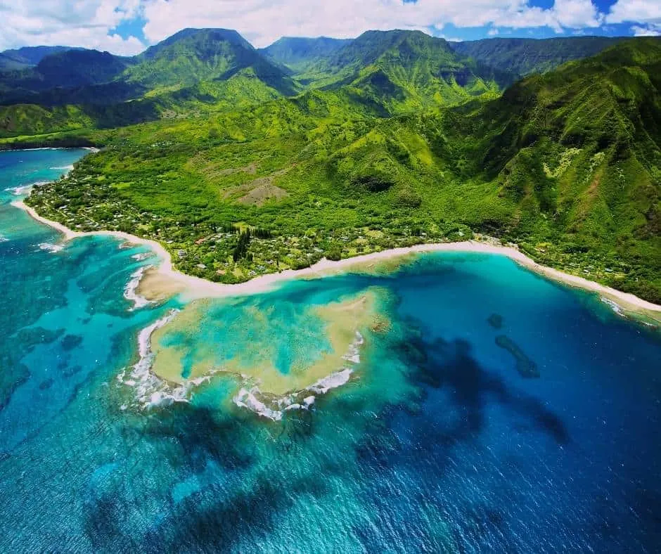 Families fly free to Hawaii