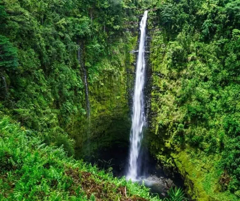 things to do on the Big Island with kids include visiting waterfalls