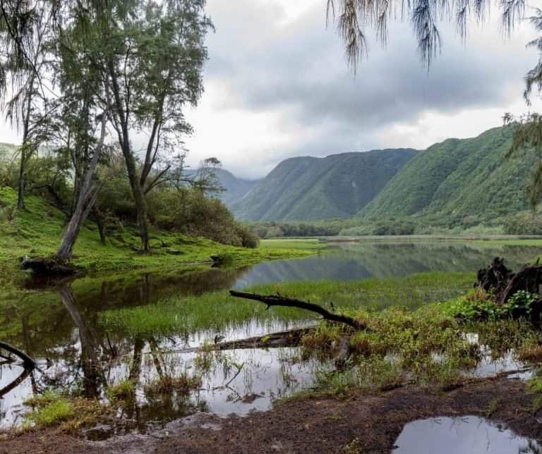 Things to do on the Big Island with kids Pololu Valley