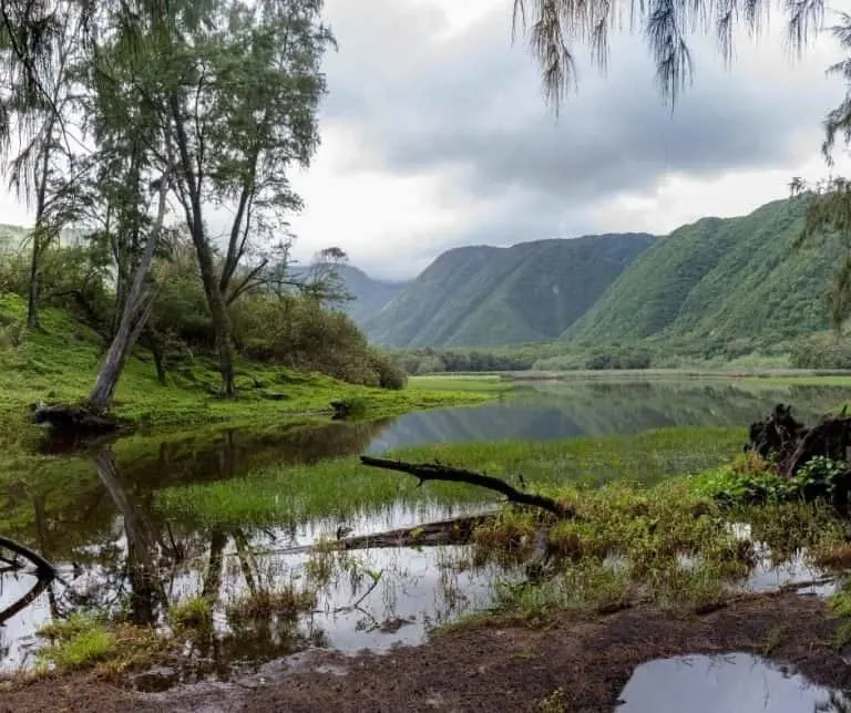 Things to do on the Big Island with kids Pololu Valley