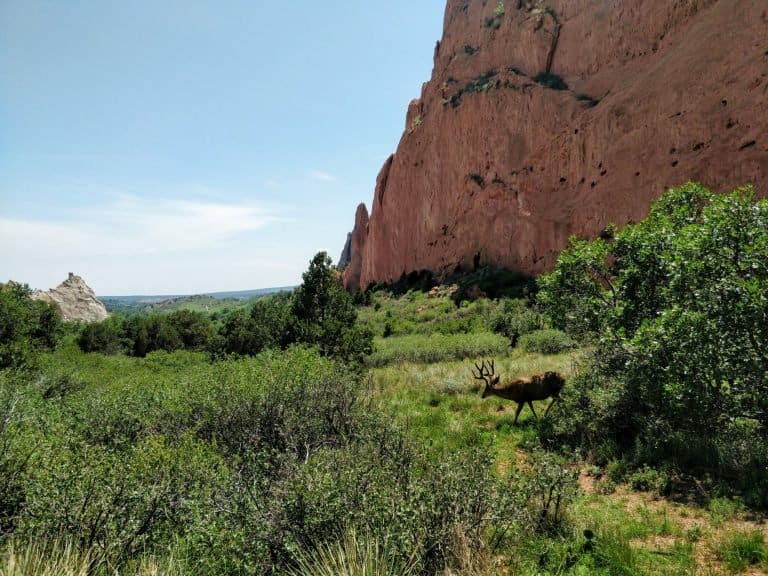 stop at Garden of the Gods on your Texas to Colorado Road Trip