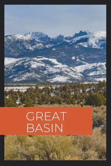 Great Basin national park