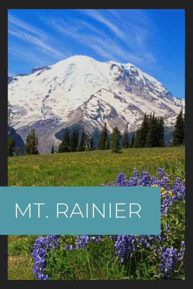 Mt Rainier National park