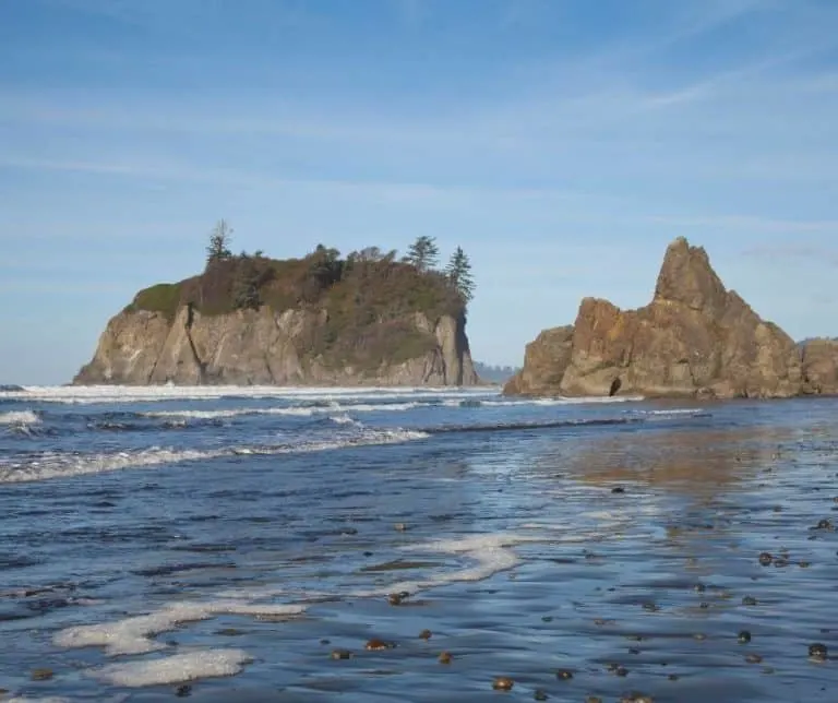 Olympic National Park Coastline