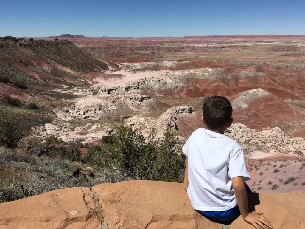 Painted Desert and Petrified Forest National Park