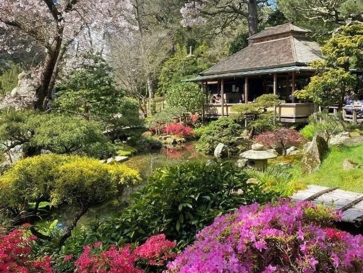 Things-to-do-in-Golden-Gate-Park-Japanese-Tea-Garden