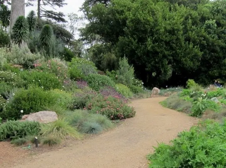 San Francisco Botanical Garden