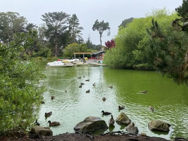 Stowe Lake is a highlight of Golden Gate Park San Francisco