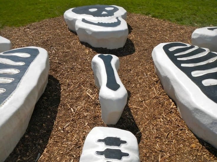 10-fun-things-to-do-in-indianapolis-with-kids