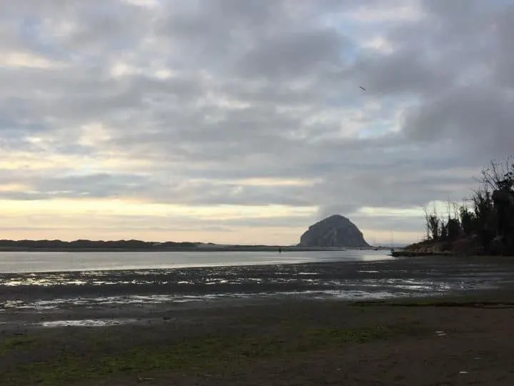 Morro Bay State Park