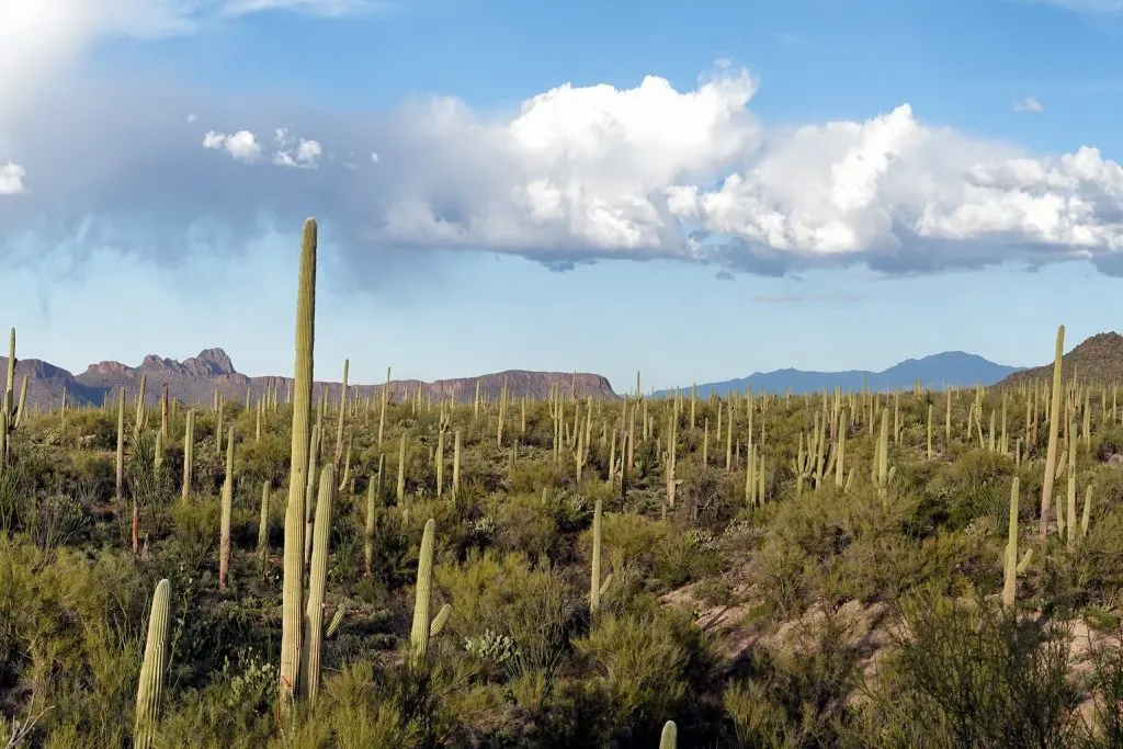 Epic 10-Day Arizona Road Trip 2